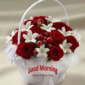 Manu Punjabi Fc On Twitter One Person Followed Me