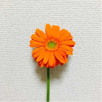 ampts052's profile picture. 世界で一番楽したい