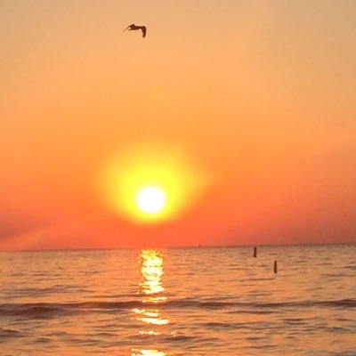 AHase9's profile picture. 