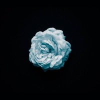 ๊ธโ (@rmfdhfflsmsrht) 's Twitter Profile Photo ๊ธโ (@rmfdhfflsmsrht) 's Twitter Profile Photo