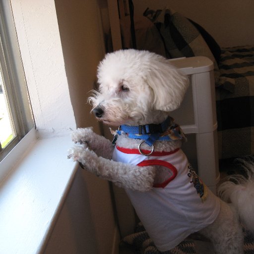 KarenssaMackey's profile picture. 