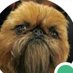 Danny Dieseldeegul (@dannydieseldeeg) Twitter profile photo Danny Dieseldeegul (@dannydieseldeeg) Twitter profile photo
