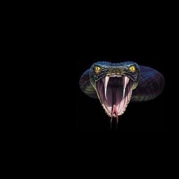 7bba02b390d54e2's profile picture. 