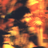 ivanferraro's profile image