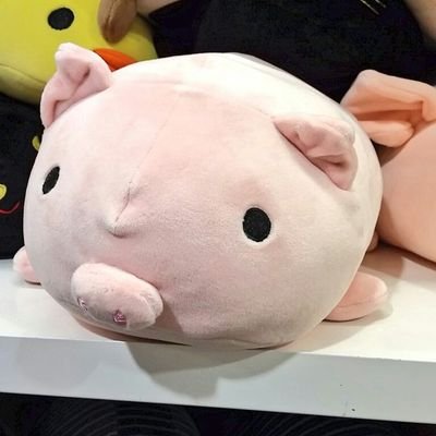 rei_solfege0806's profile picture. 本垢（＠kyouca_ray）のサブ垢。。YOI沼にドボンをしヴィク勇が可愛すぎて日々つらい。フォロバはリプいただければ喜んで行かせていただきます♪！注意！関東在住成人済み腐女子でレイヤーです。