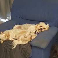 Josh of the tropics (@kuhly2011) 's Twitter Profile