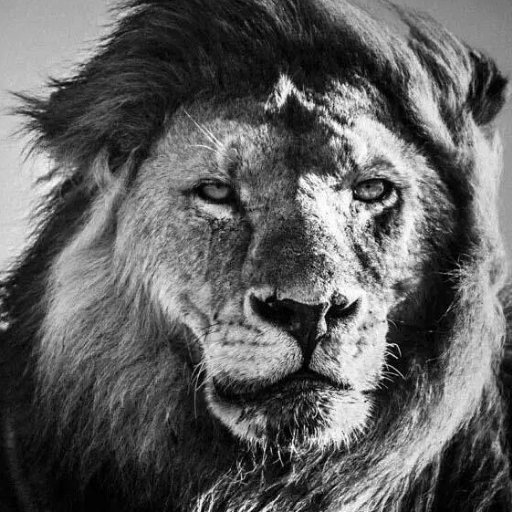 I came to Twitter to share, then it dawned to me am here to listen and learn. And share the little I know and more importantly to also share what I learned.