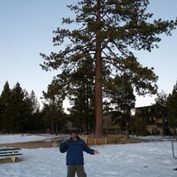 V V (@vserve) 's Twitter Profile