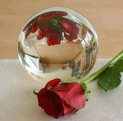 IRK7RCPI5GucLQM's profile picture. 