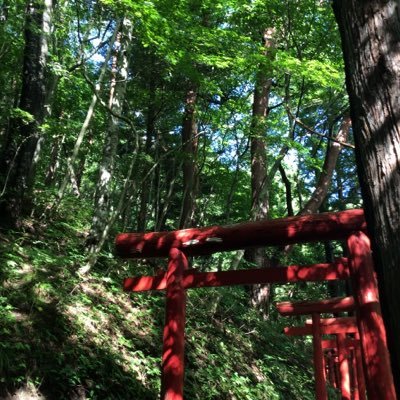 kthikotan's profile picture. 「かねひこ」と言うアカンウトを店専用にして、新たに個人用のアカウントを作成しました。これからは店は店、個人は個人で幅広く自由につぶやいて行きます。これからも宜しくね。