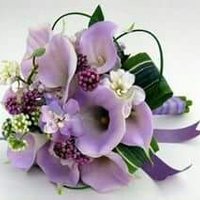 أم ثامر (@dr_fowziah77) Twitter profile photo