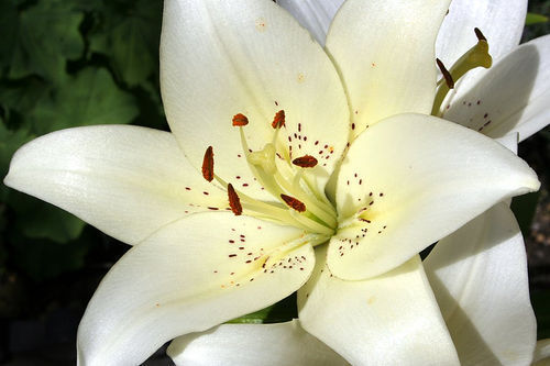 jackslew's profile picture. 