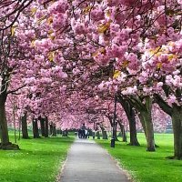 Positively Harrogate (@positivelyhgte) 's Twitter Profile Photo Positively Harrogate (@positivelyhgte) 's Twitter Profile Photo