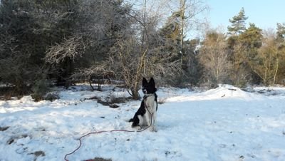 06Malmout's profile picture. 