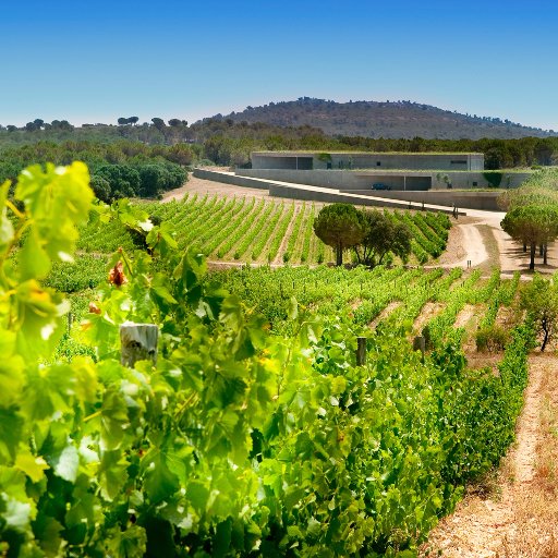 #viecològic #vinBio #vinoecológico #organicwine #TerraRemota #Emporda #InCostaBrava