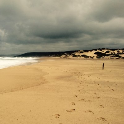 buffysilvia's profile picture. Governo & Istituzioni Tecnologia