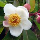 Lis Meyer - @lissard8 - Twitter