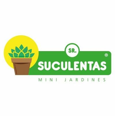 Nos gusta trabajar con plantas suculentas y cactus y ofrecerte mini jardines para tu deleite