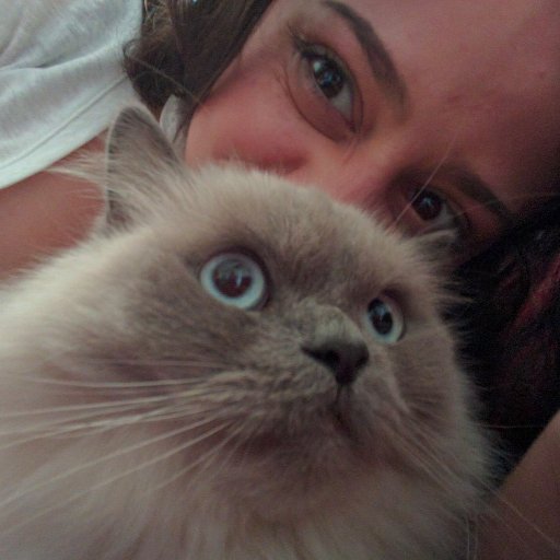 b_for_bianca's profile picture. I like cats...