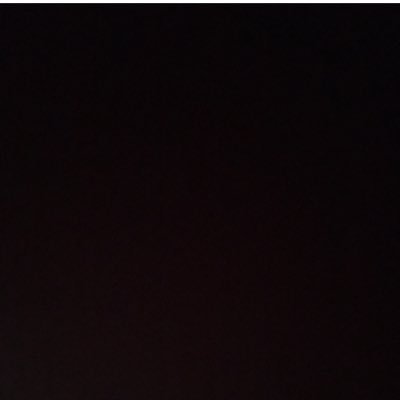 ChihuahuaDory's profile picture. 