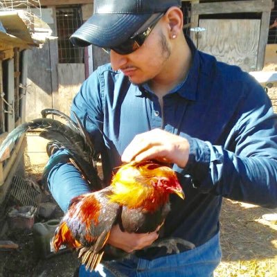 🔥🔥🔥🔥🔥de Bejucos Mexico Guerrero alv tierra caliente 💯🇲🇽🐎🍺🍻🔥🔥🔥🔥💥 add me on Ig @carbajal_a_jose 🔥🐎🇲🇽💯🔥americanista de corazón
