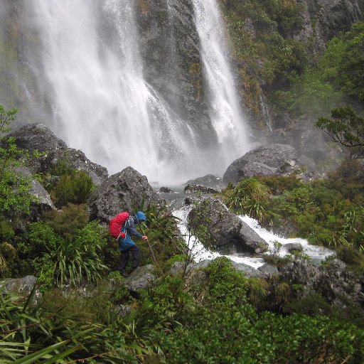 CherylNorrie's profile picture. Writing and communications. Opinions my own.