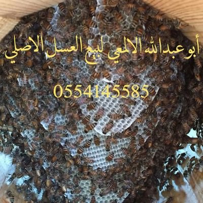 ‏‏بيني وبينك الله