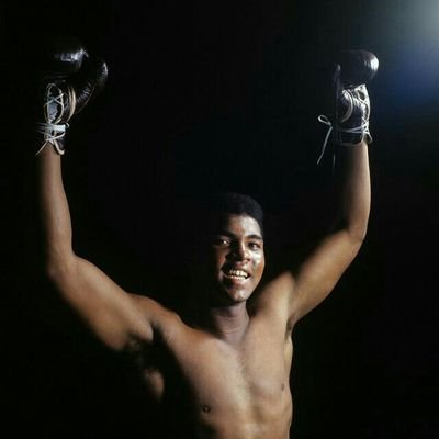 Telhazteezy's profile picture. 