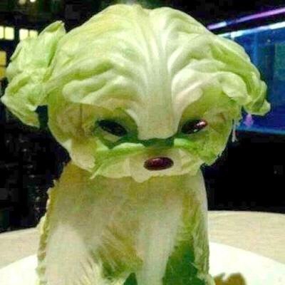 tashi201604's profile picture. 中の人