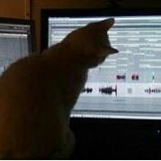 MUSIC Catlover Biologist Abletonlive9 Reason 5  Photography SoundCloud Digital and Social Media Marketing