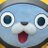 rigel_dqx