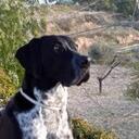 murray evans - @murray_evans - Twitter