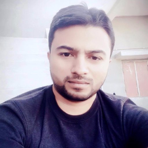Software Developer
