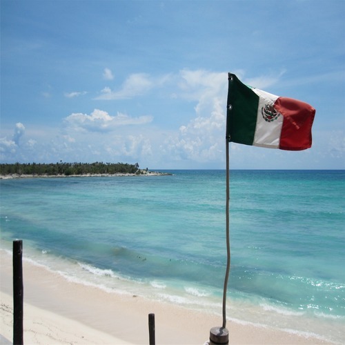 pirat3caribbean's profile picture. 