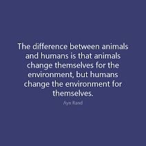 123mangoman's profile picture. Civic activist #ಹಳೇಬೆಂಗಳೂರಿನಪೇಟೆಗಳು