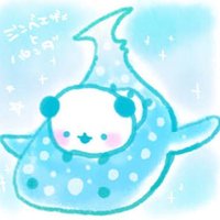 ジンベイ(@Whalesharks1467) 's Twitter Profile Photo