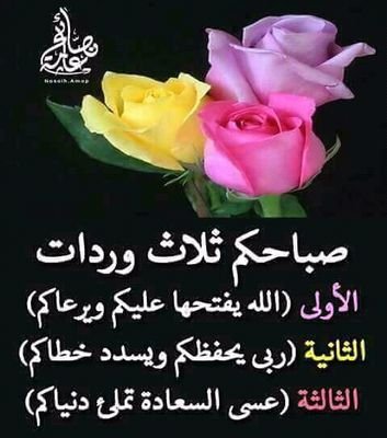 TarekYassin8's profile picture. الأخبار العامة الأخبار أخبار العالم السياسة والسياسيّون السياسيون