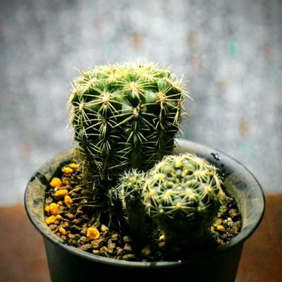 ksaw_'s profile picture. 東京に引っ越しました。
競技プログラミングとKaggleとボードゲーム、自転車と経済学