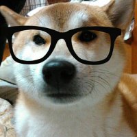 AKATUKI【まちゃ(兵庫県民やで)】躍動の会【マーモッ党】 (@m_since1975) 's Twitter Profile Photo AKATUKI【まちゃ(兵庫県民やで)】躍動の会【マーモッ党】 (@m_since1975) 's Twitter Profile Photo