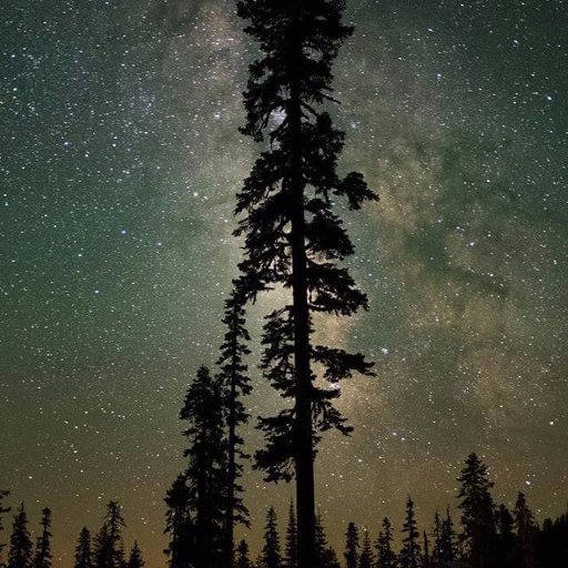 HelloJello92's profile picture. Eat. Travel. Work. Hike. Climb.