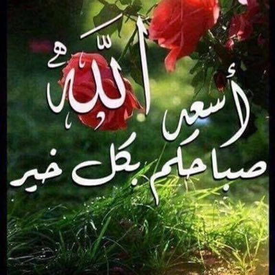 phG1vURSoUTwfSI's profile picture. 