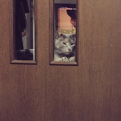 hjowjbjtj's profile picture. 病院勤務 医事課 HIM 1年目 受付 愚痴言います