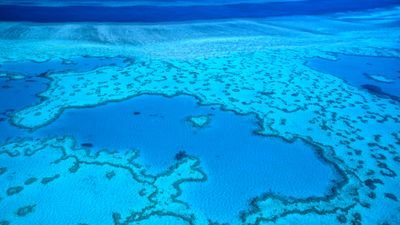 HelenMcLachlan2's profile picture. Working to improve ocean health, love a beach walk, cycling, surfing, tennis, a great read, time with favourite people. All tweets my own