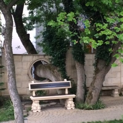 vladandmir164's profile picture. 