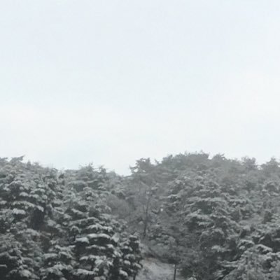 かな