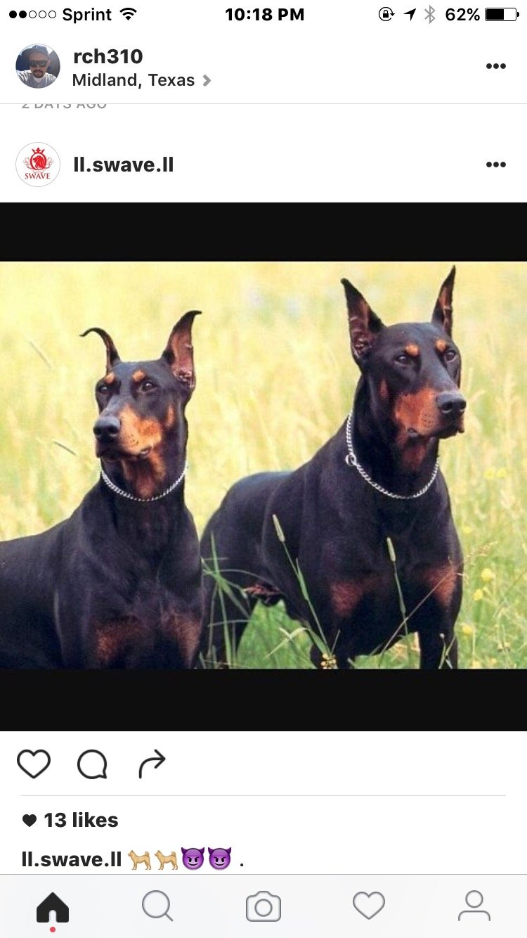 JackieLudy's profile picture. 