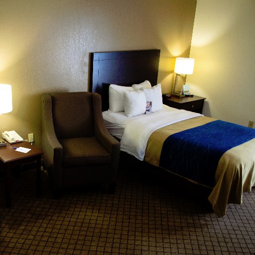 ComfortInntn643's profile picture. 