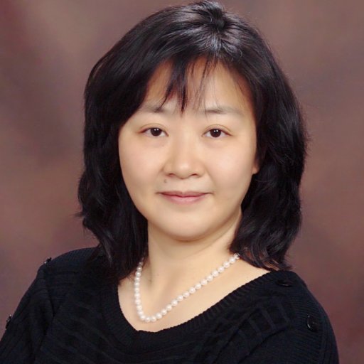 Lan Li is Professor in Classroom Technology at Bowling Green State University, USA.