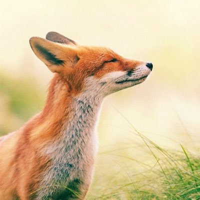 砕月さんのプロフィール画像