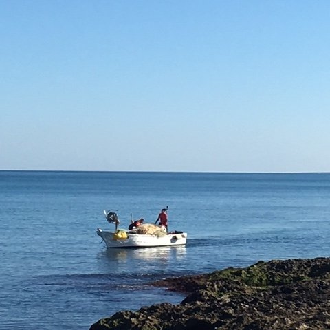 Blogging about life, food and travel in Italy (with a beautiful villa to rent in Selva di Fasano, Puglia) #Italia #spiritualhome